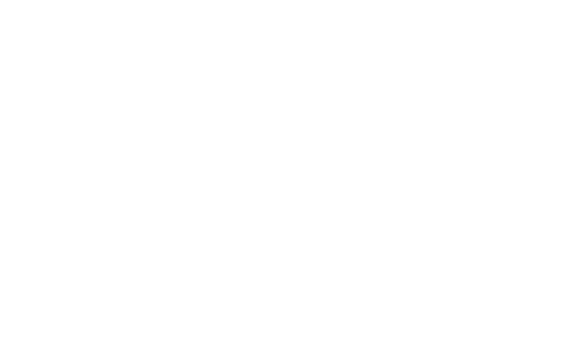 Logo IM